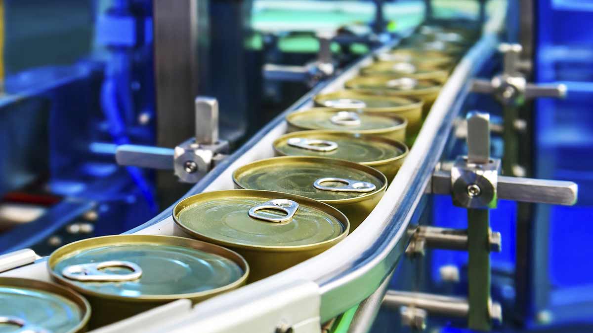 Ayudas a proyectos de actuación integral para la descarbonización de la industria manufacturera (PERTE-DI)