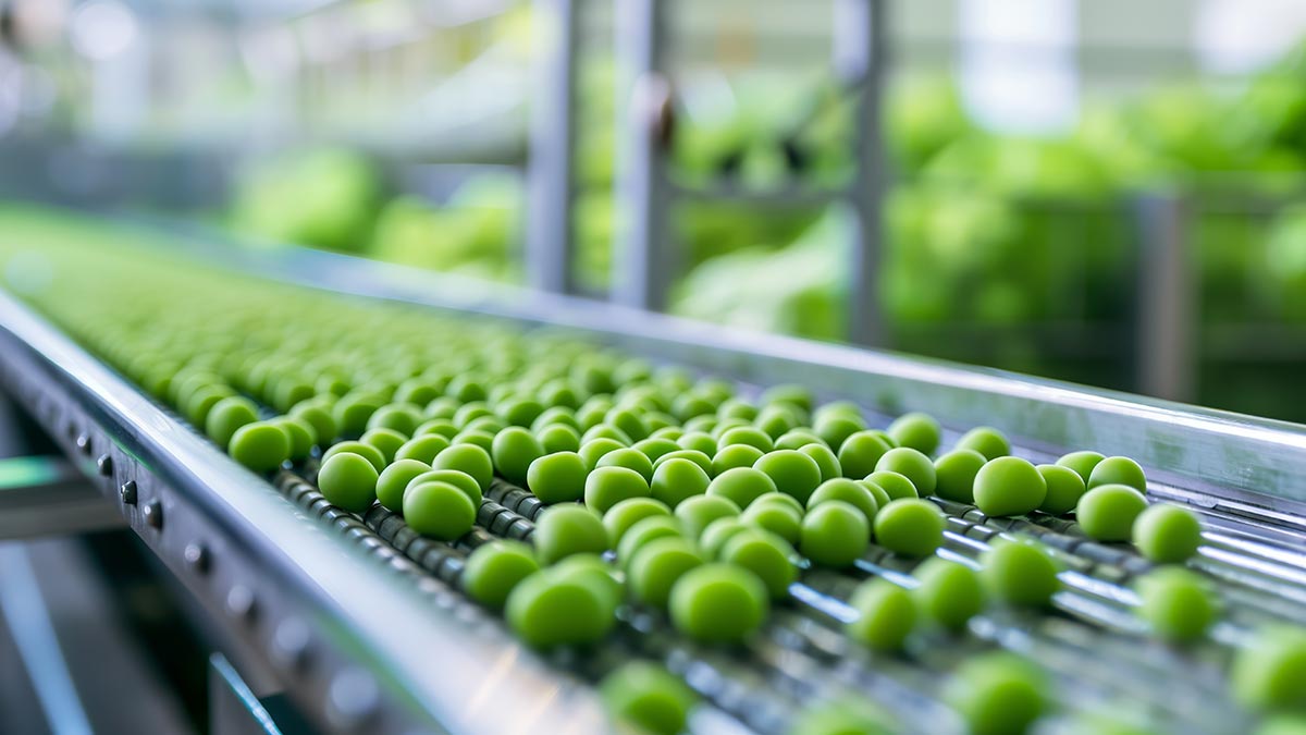 Ayudas a proyectos industriales en el sector agroalimentario dentro del Proyecto Estratégico para la Recuperación y Transformación Económica Agroalimentario, año 2024