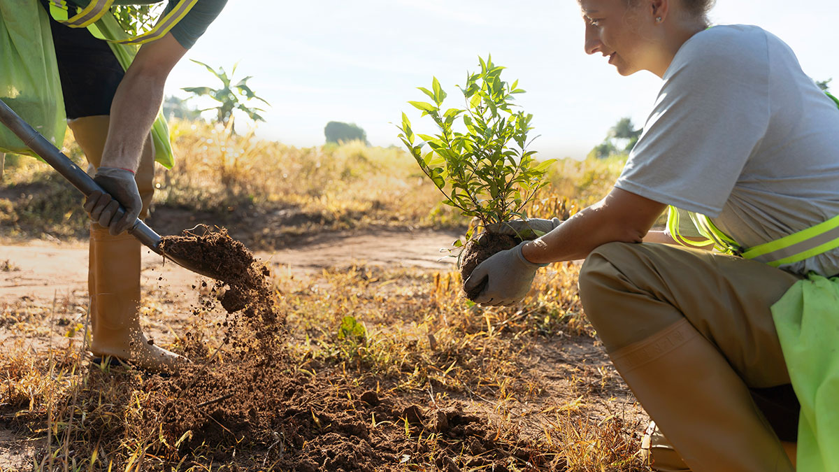 Ayudas a trabajos forestales promovidos por agentes privados