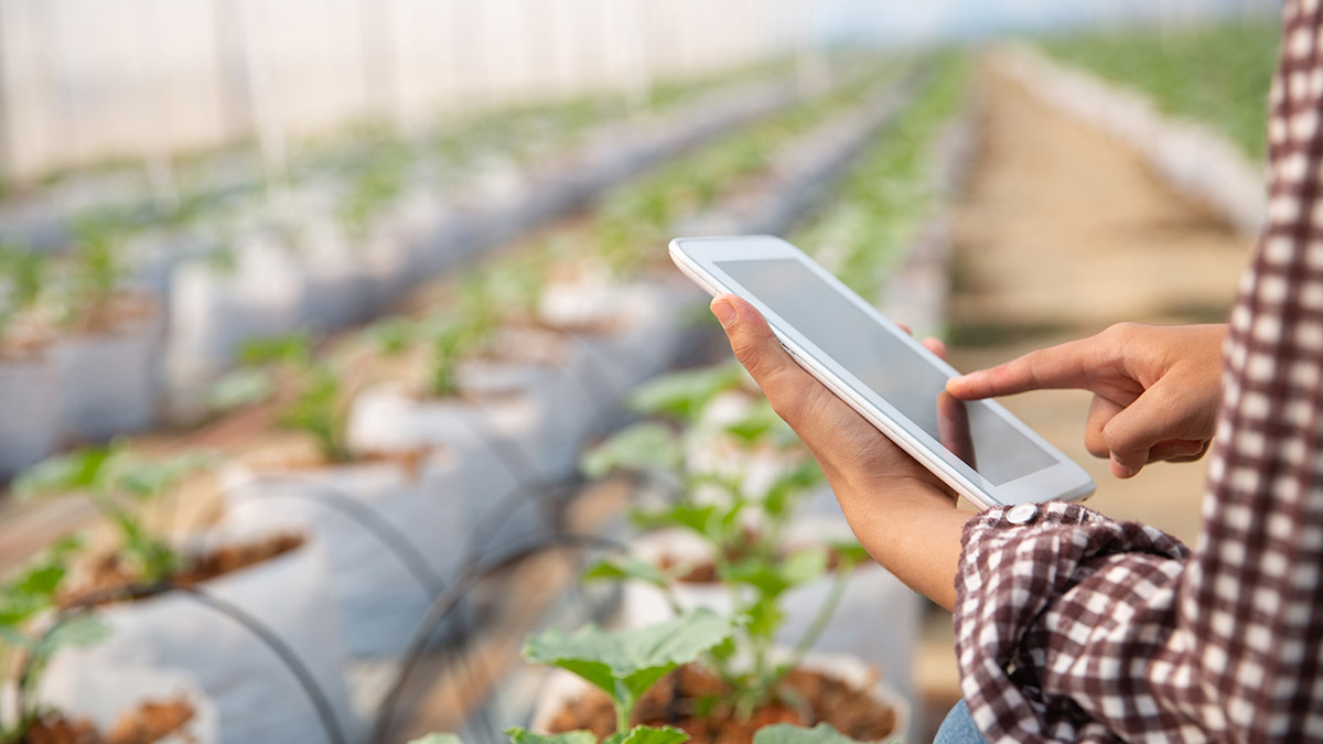 Ayudas para el fomento de emprendimiento, impulso del empleo y consolidación de actividades económicas en Valtierra