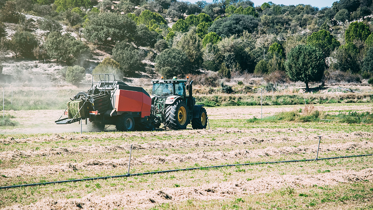 Ayudas a inversiones en explotaciones agrarias con objetivo medioambiental 2026