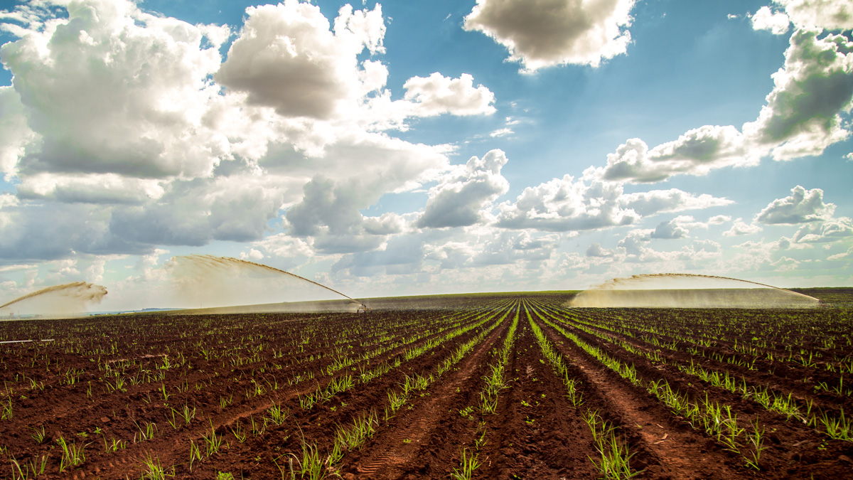 Ayuda a inversiones en explotaciones agrarias: transformación en regadío 2026