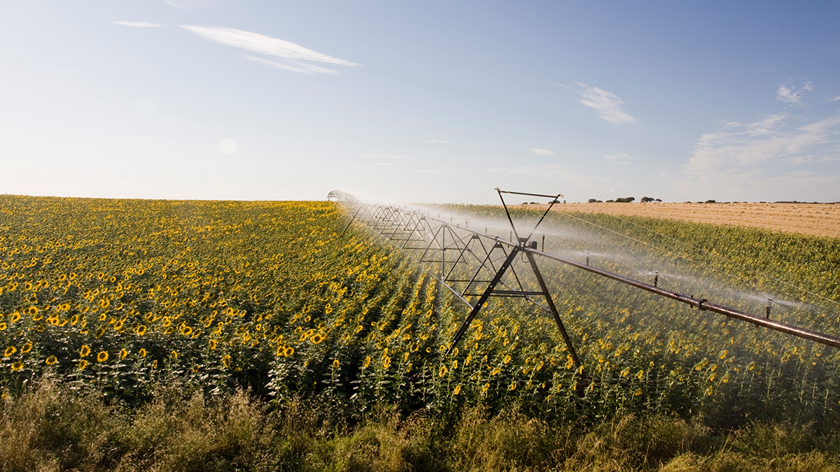 Ayuda a inversiones en explotaciones agrarias: modernización regadío 2026